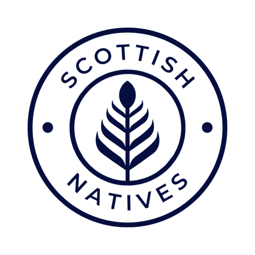 Scottish Natives